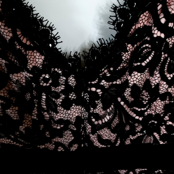 Tadashi black lace over pink silk v neck A line high waist dress size 6 - Picture 3 of 6